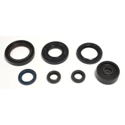 Engine Oil Seal