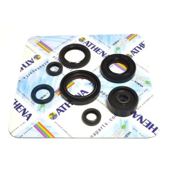 Engine Oil Seal