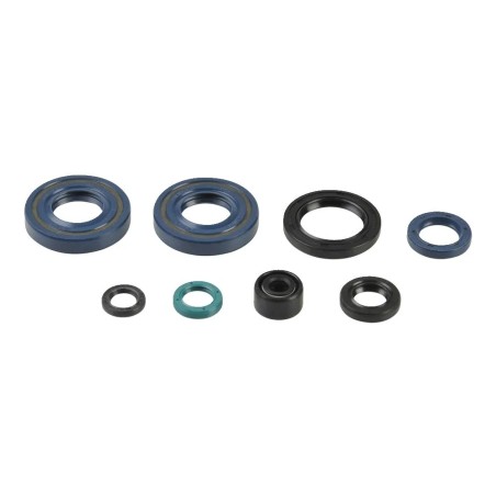 Engine Oil Seal