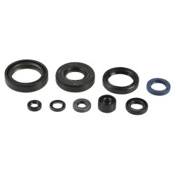 Engine Oil Seal