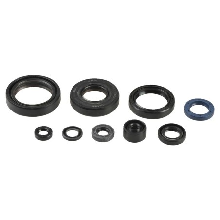 Engine Oil Seal