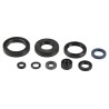 Engine Oil Seal