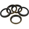 Main Drive Gear Seal Kit