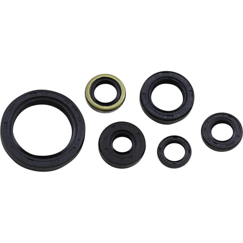 Oil Seal Kit