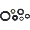 Oil Seal Kit