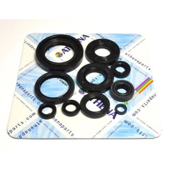 Engine Oil Seal