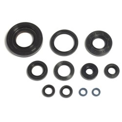 Engine Oil Seal