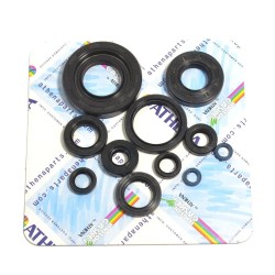 Engine Oil Seal
