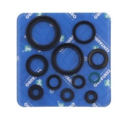 Oil Seal