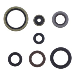 Engine Oil Seal