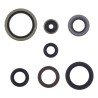 Engine Oil Seal