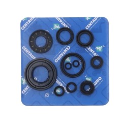 Oil Seal