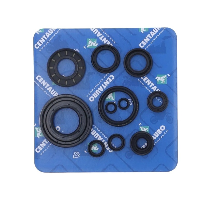 Oil Seal