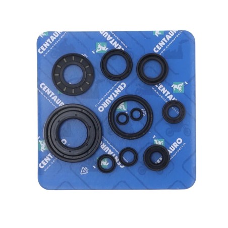 Oil Seal