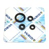 Engine Oil Seal