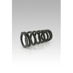 Lowering Spring Rear