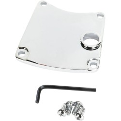 Primary Chain Inspection Cover
