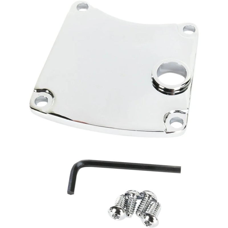 Primary Chain Inspection Cover