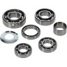 Transmission Bearing Kit