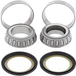 Steering Stem Tapered Roller Bearings and Seals Kit