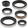 Motor Oil Seals
