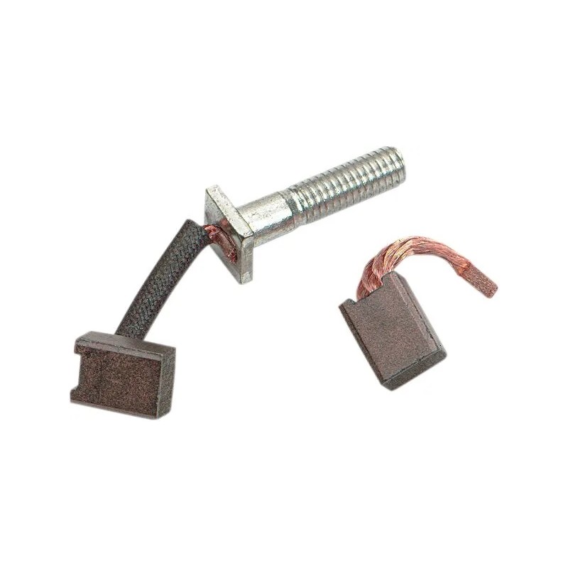 Jeu de balais de démarreur de rechange