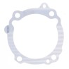 Cylinder Base Gasket