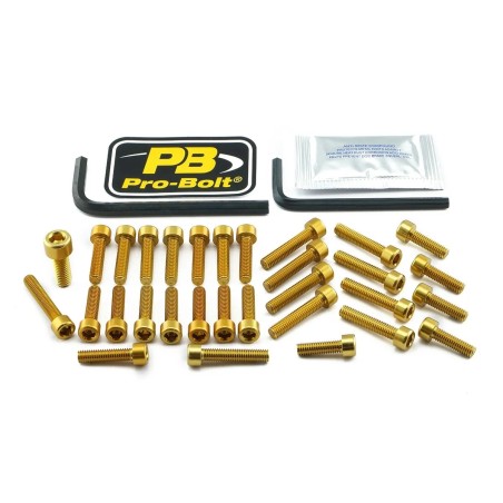 Aluminium Engine Bolt Kit For BMW