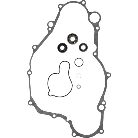 Water Pump Rebuild Kit