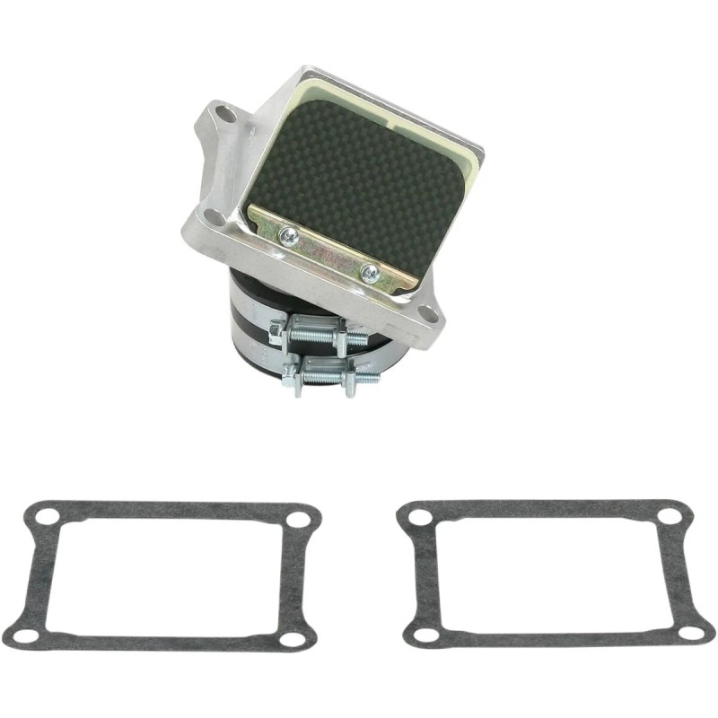 Ensemble cage à clapets Rad Valve