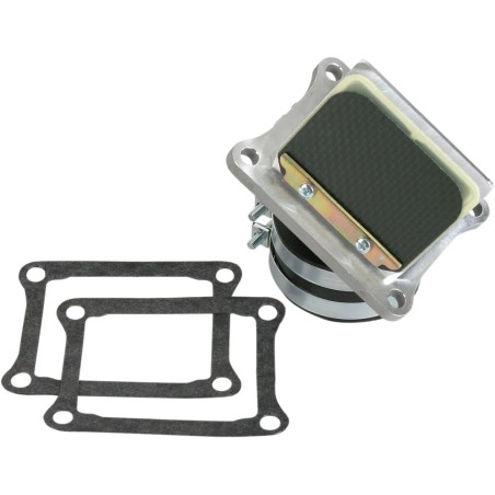 Ensemble cage à clapets Rad Valve