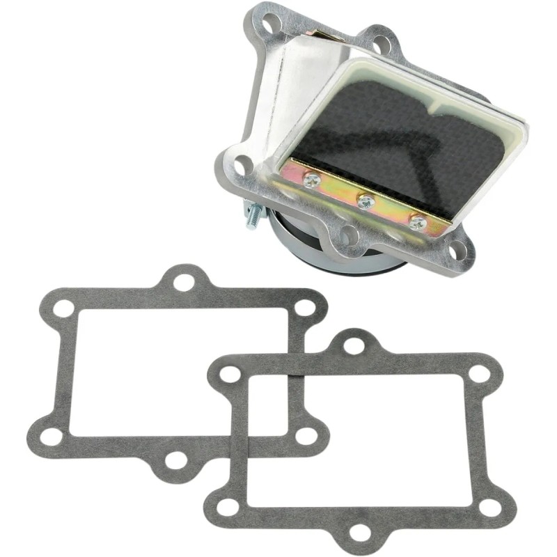 Ensemble cage à clapets Rad Valve