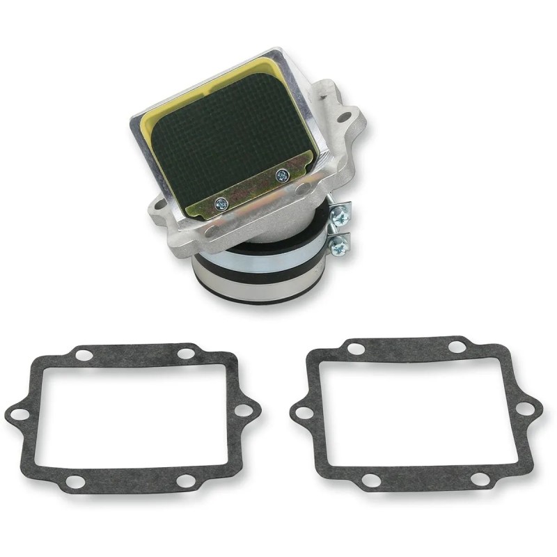 Ensemble cage à clapets Rad Valve