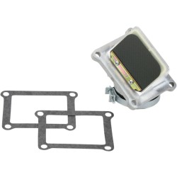 Ensemble cage à clapets Rad Valve