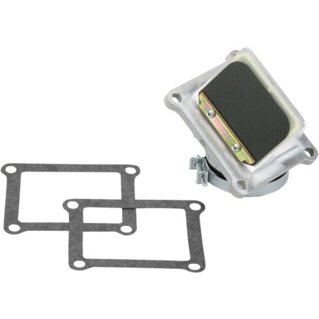 Ensemble cage à clapets Rad Valve