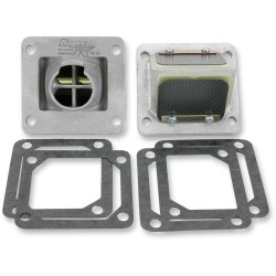 Ensemble cage à clapets Rad Valve