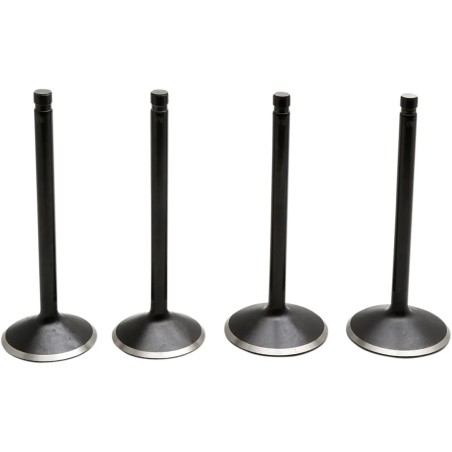 Black Diamond  Engine Valve Kit