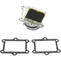 Rad Valve Reed Cage Assembly