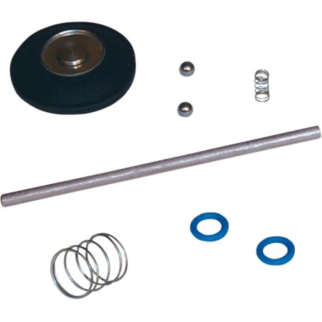 Accelerator Pump Rebuild Kit