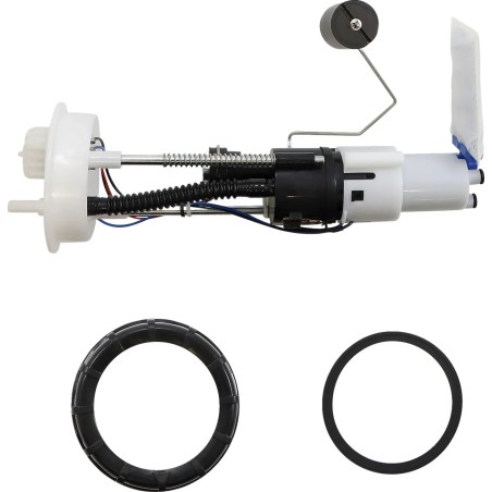 Fuel Pump Module