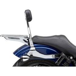 Detachable Backrest Kit
