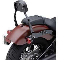 Detachable Backrest Kit