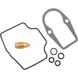 Carburetor Repair Kit