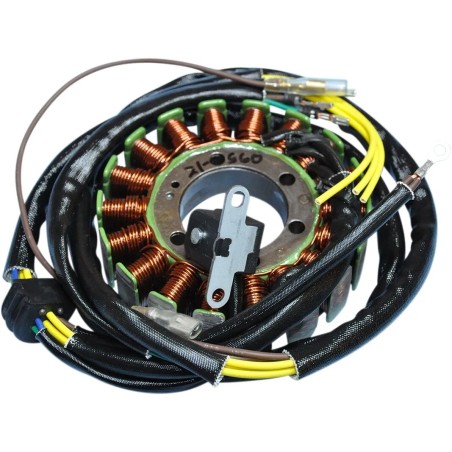 Stator pour Polaris