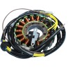 Stator pour Polaris