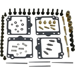 Carburetor Repair Kit