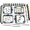 Carburetor Repair Kit