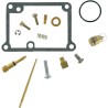 Carburetor Repair Kit