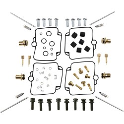 Carburetor Repair Kit