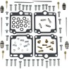 Carburetor Repair Kit